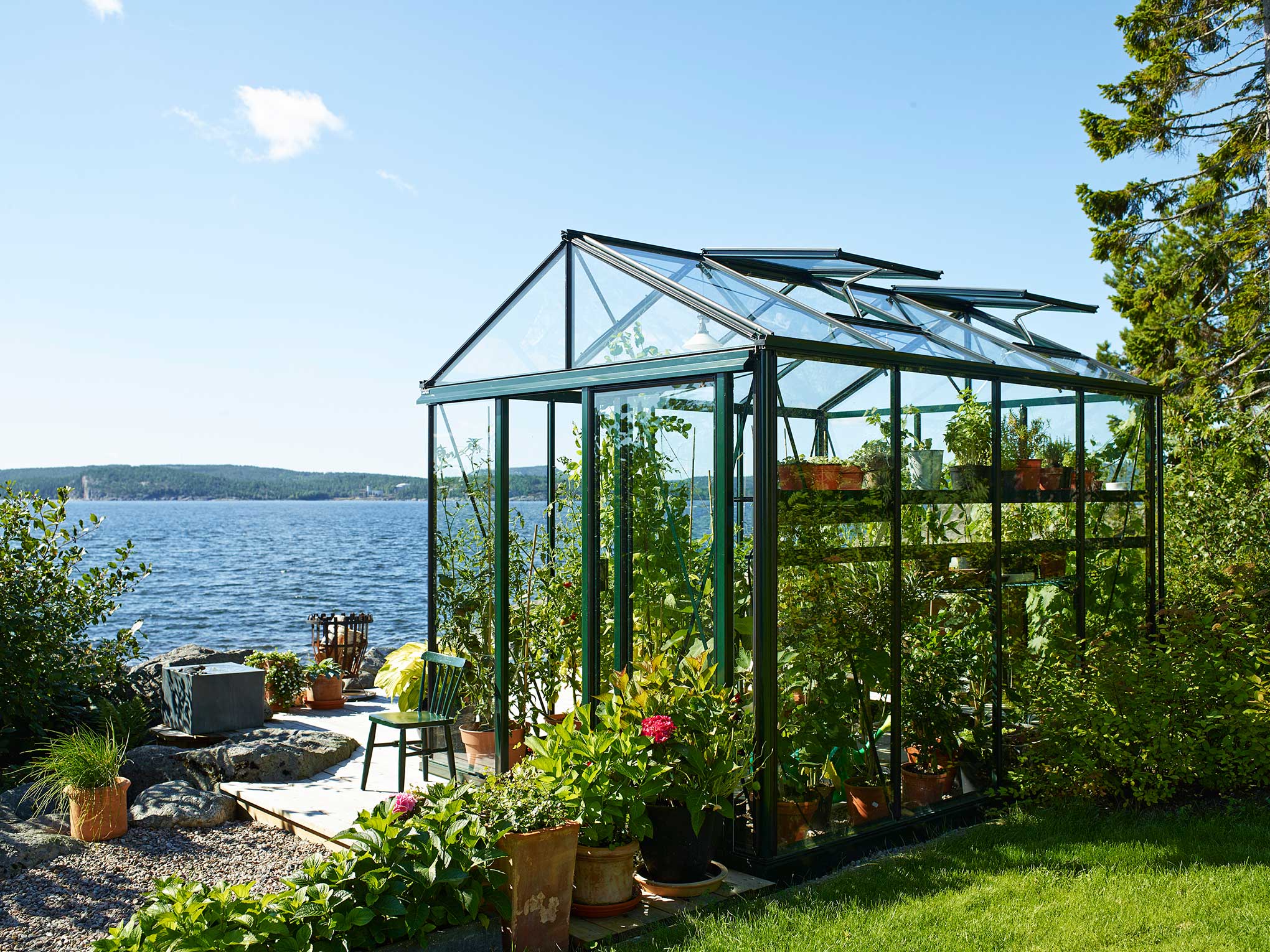 Olivenbumen und andere Pflanzen im Gewchshaus berwintern | Willab Garden