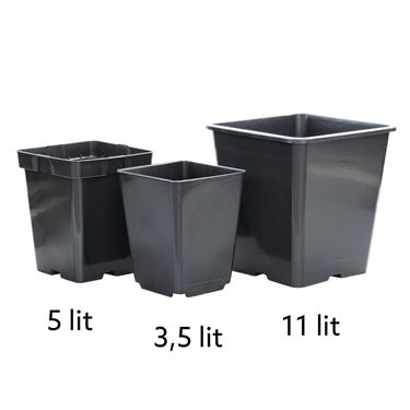 Tomatentöpfe 3,5 l, 5 l und 11 l im Vergleichsbild