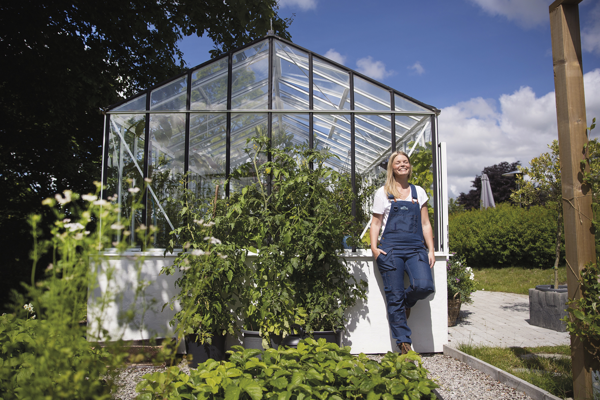 Olivenbumen und andere Pflanzen im Gewchshaus berwintern | Willab Garden